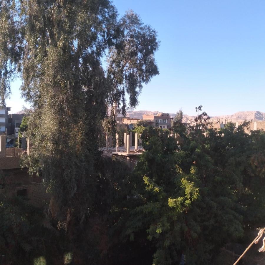 Ali Habou Lägenhet Luxor Exteriör bild